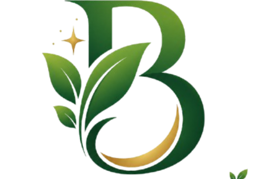 blesivo.com