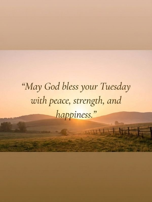 Let Your Tuesday Shine