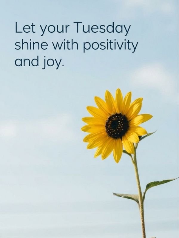 Motivational Tuesday Quotes